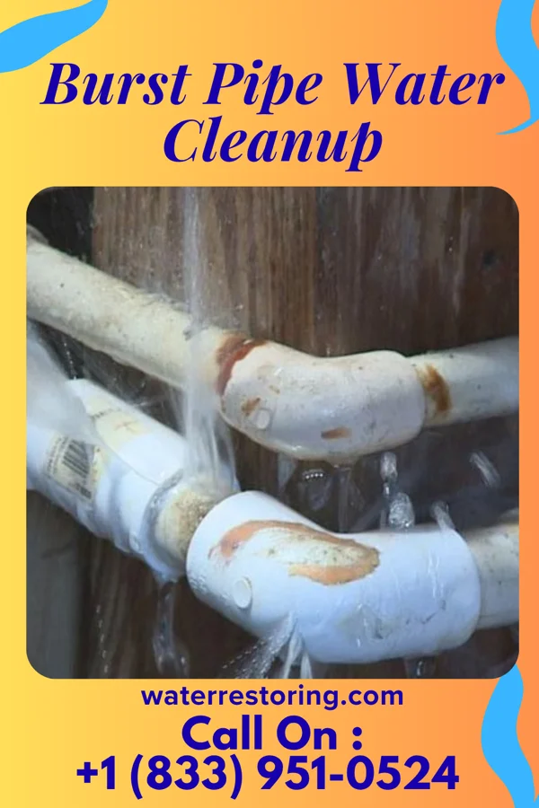 Burst Pipe Water Cleanup in Paint, PA