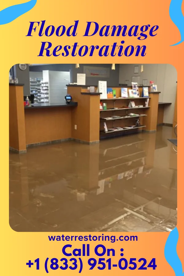 Flood Damage Restoration in Paint, PA