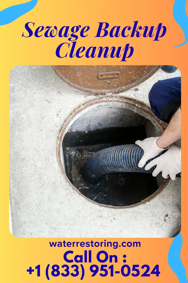 Sewage Backup Cleanup in Paint, PA