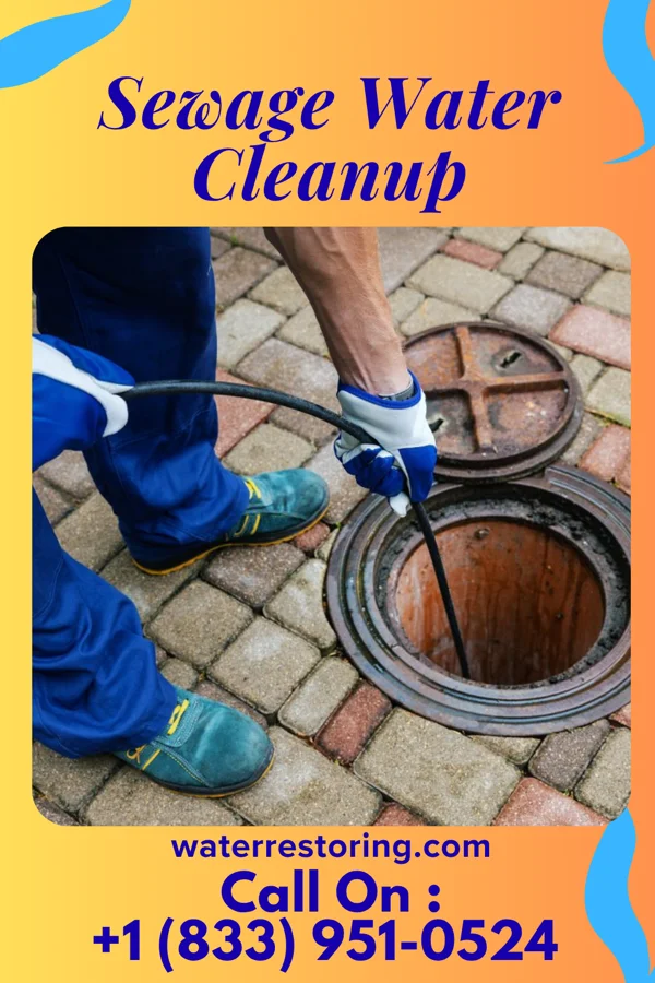 Sewage Water Cleanup in Paint, PA